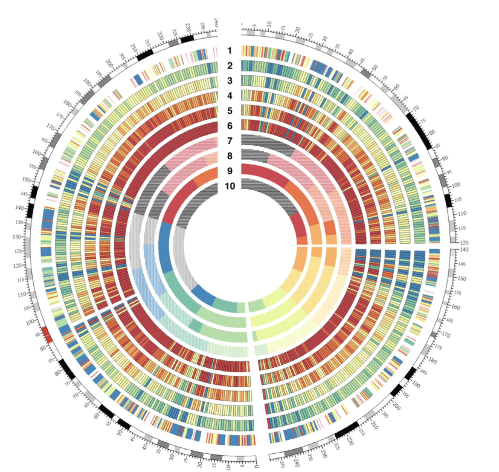 Circular Heat Map | Data Viz Project