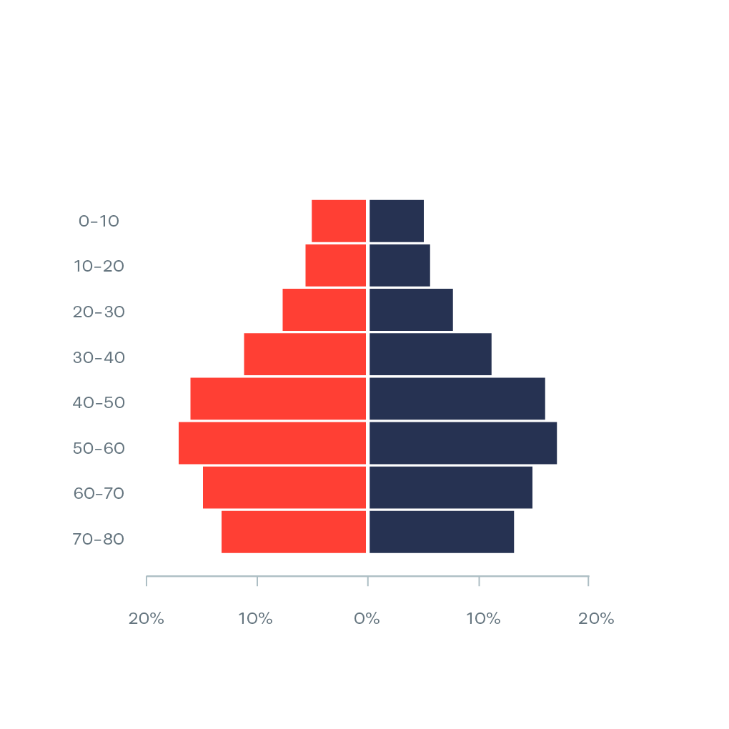 Population Pyramid | Data Viz
